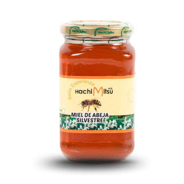 Miel de flores Silvestres 600 gr.